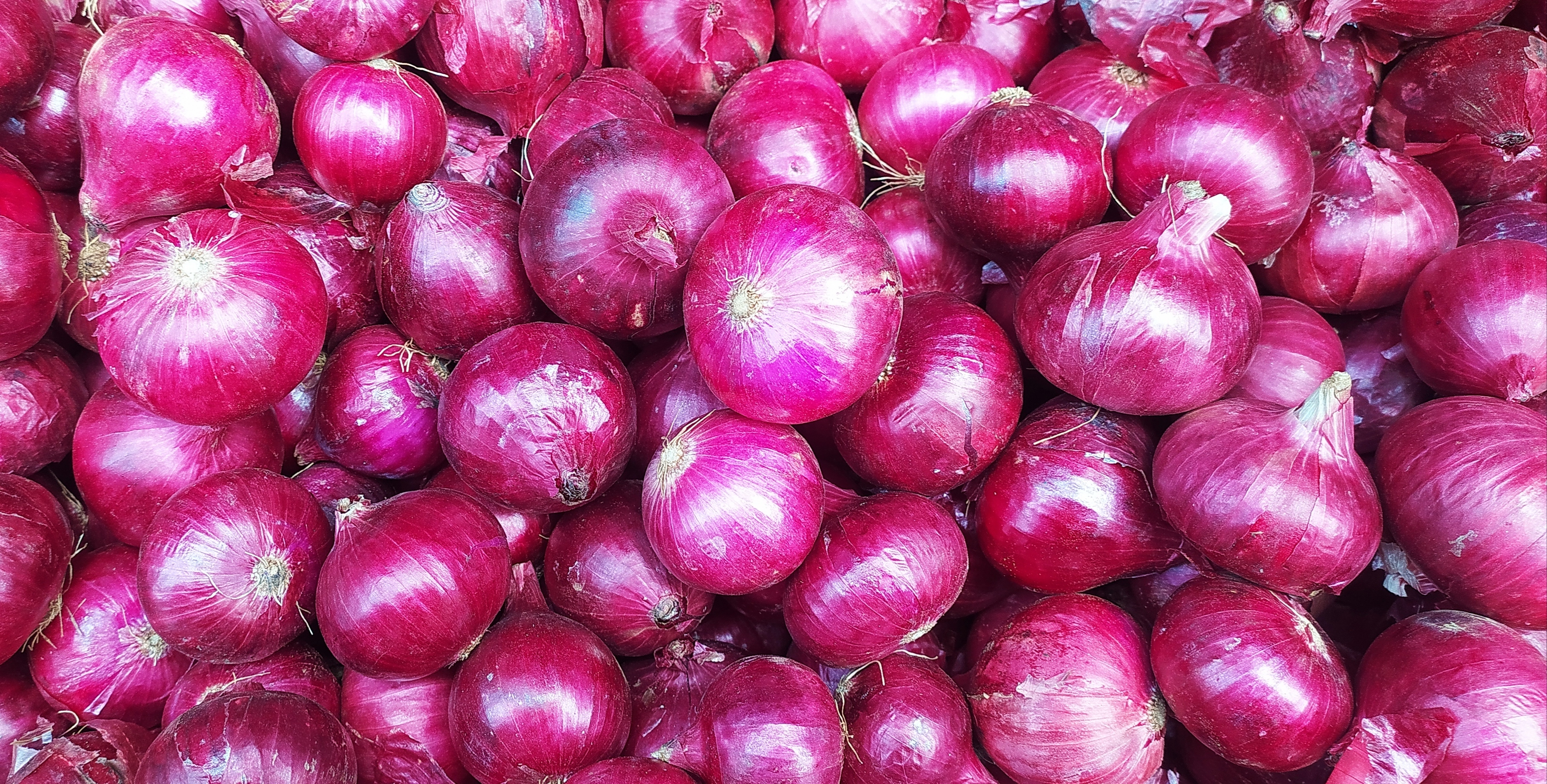 Fresh onions for trade supply