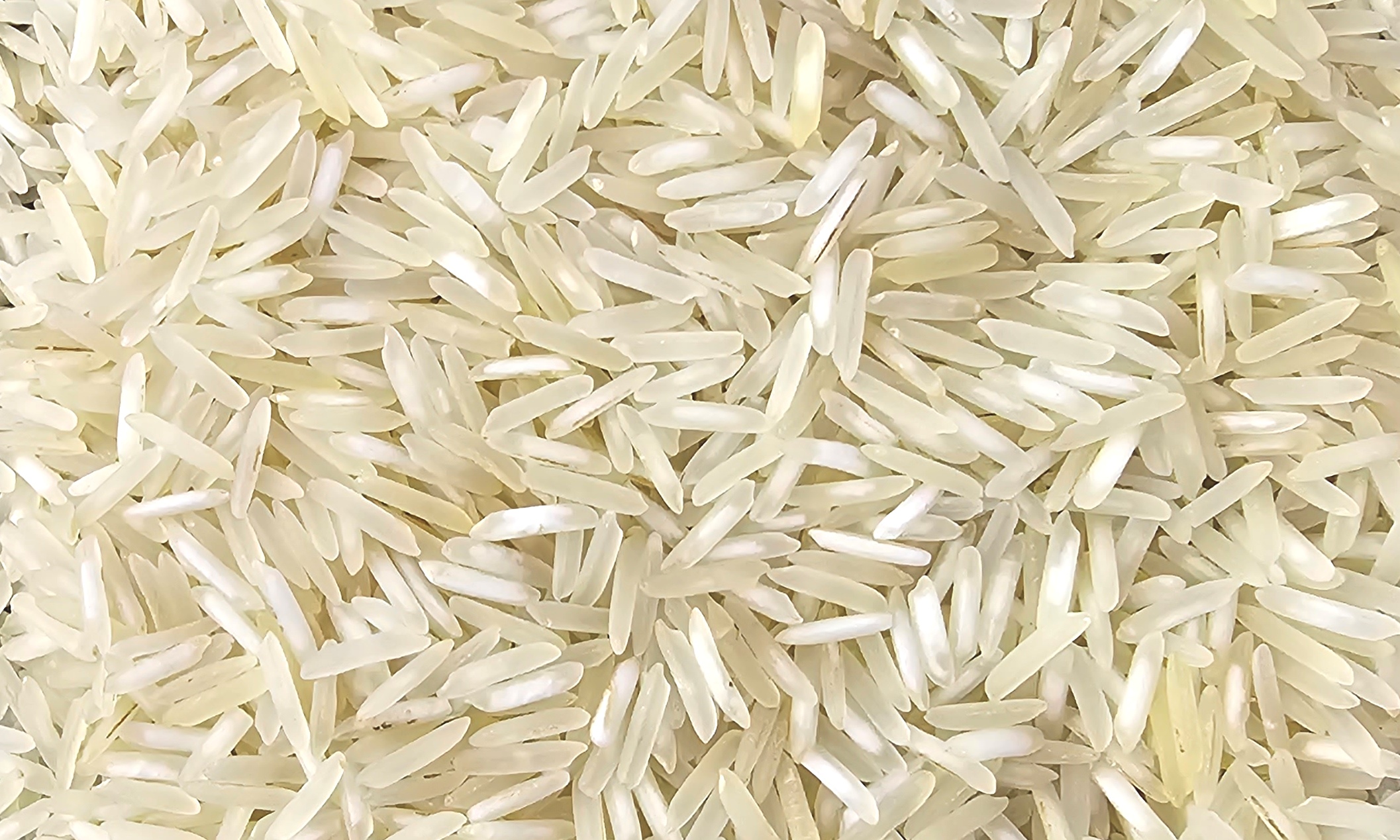 1509 steam rice