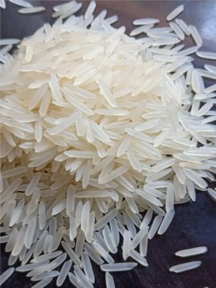1509 white sella rice